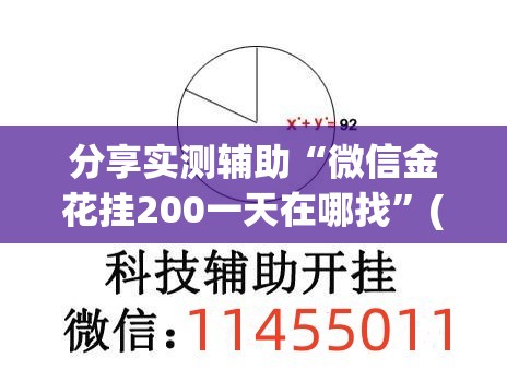 分享实测辅助“微信金花挂200一天在哪找”(透视挂)辅助下载教程