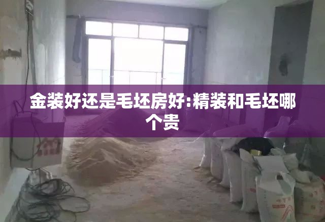 金装好还是毛坯房好:精装和毛坯哪个贵