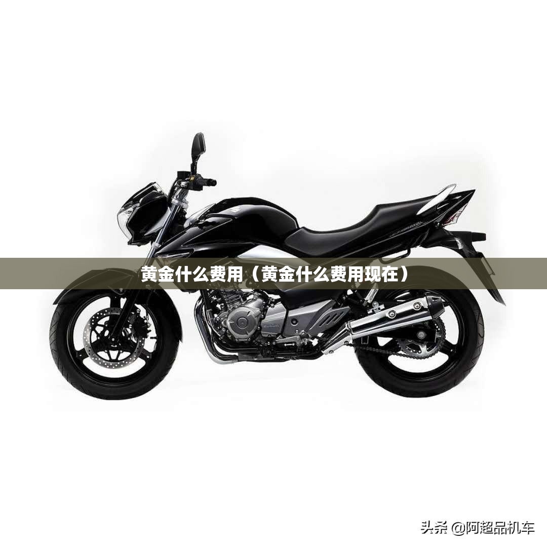 黄金什么费用（黄金什么费用现在）