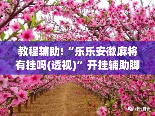 教程辅助!“乐乐安徽麻将有挂吗(透视)”开挂辅助脚本+详细开挂安装教程