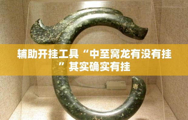 辅助开挂工具“中至窝龙有没有挂”其实确实有挂