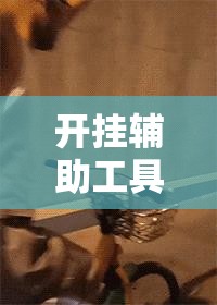 开挂辅助工具“开心联盟可以开挂吗”其实确实有挂
