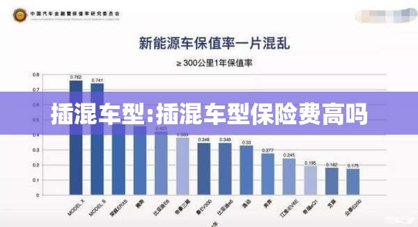 插混车型:插混车型保险费高吗