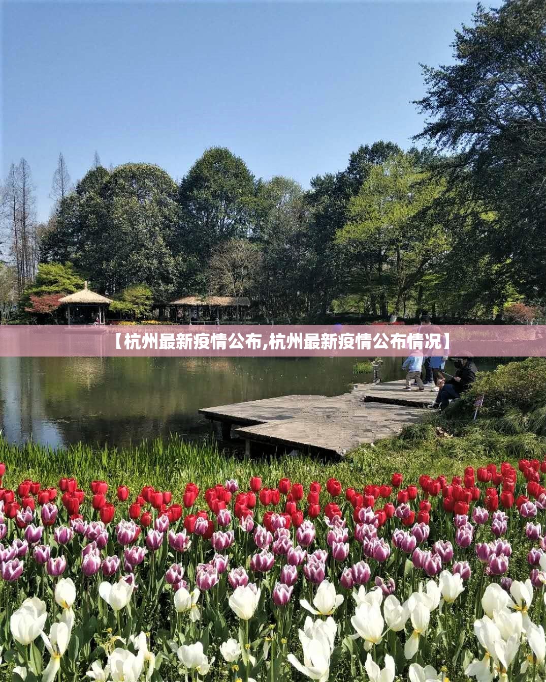 【杭州最新疫情公布,杭州最新疫情公布情况】 【杭州最新疫情公布,杭州最新疫情公布情况】