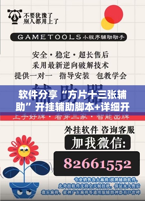 软件分享“方片十三张辅助	”开挂辅助脚本+详细开挂安装教程