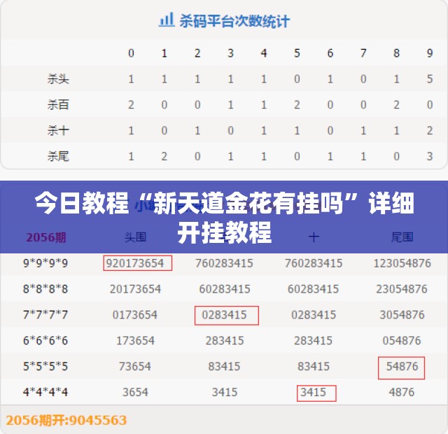 今日教程“新天道金花有挂吗”详细开挂教程