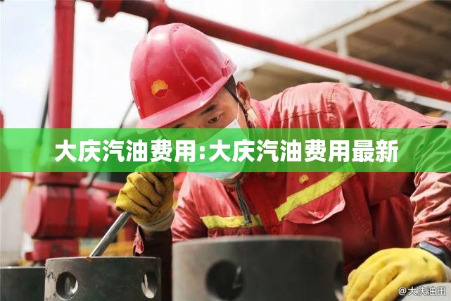 大庆汽油费用:大庆汽油费用最新