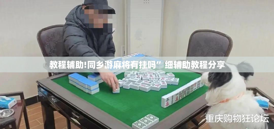 教程辅助!同乡游麻将有挂吗”细辅助教程分享