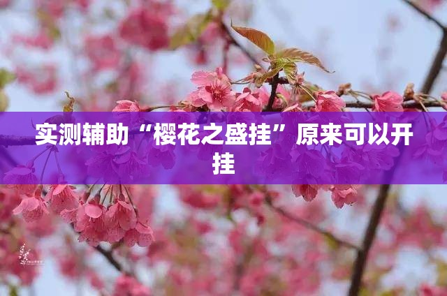 实测辅助“樱花之盛挂”原来可以开挂
