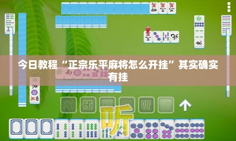 今日教程“正宗乐平麻将怎么开挂”其实确实有挂