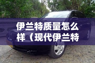 伊兰特质量怎么样（现代伊兰特质量怎么样）