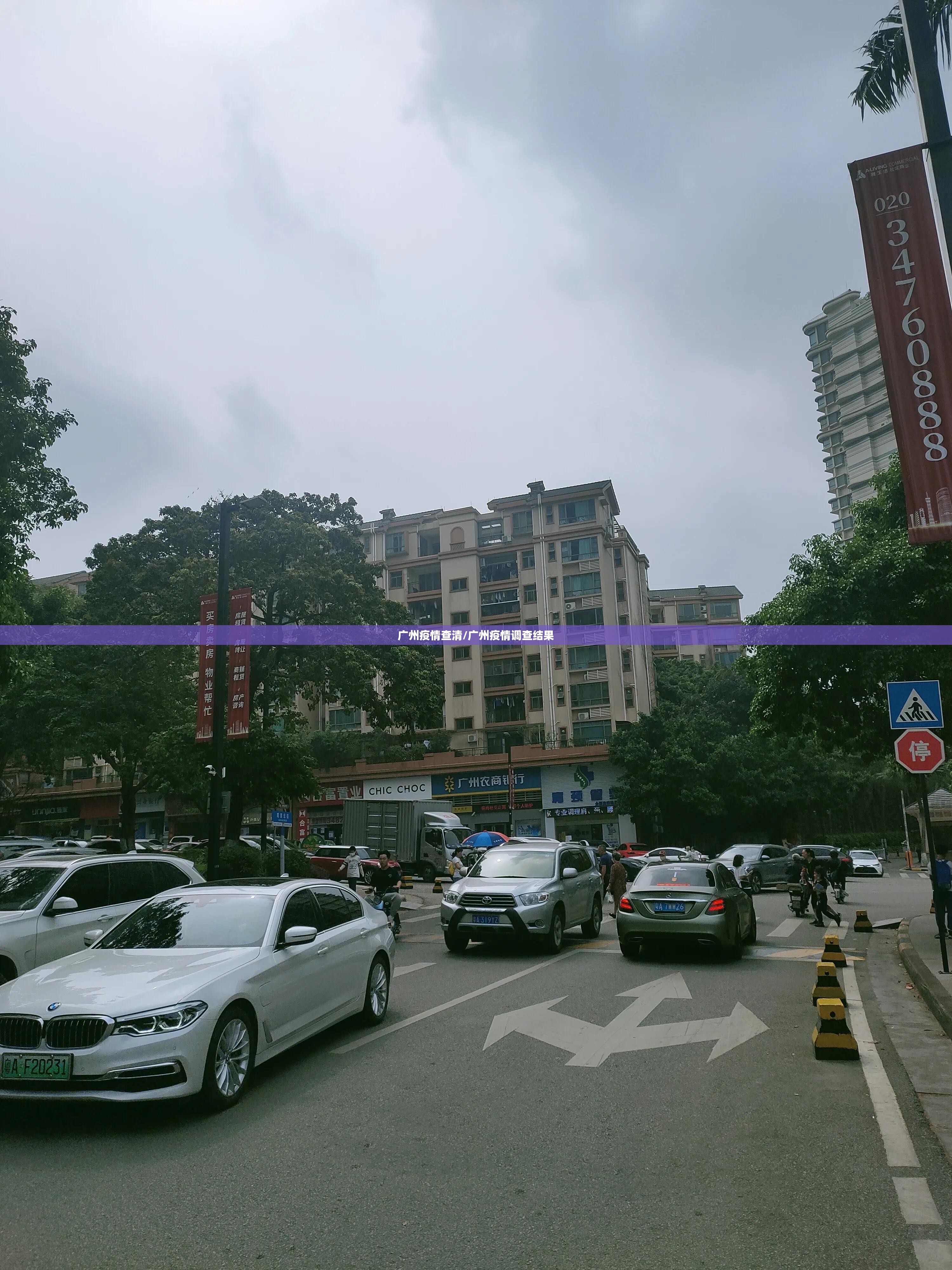 广州疫情查清/广州疫情调查结果