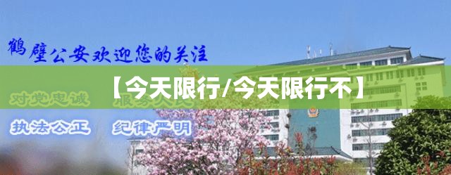 【今天限行/今天限行不】