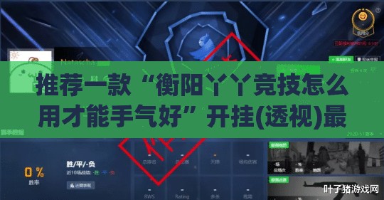 推荐一款“衡阳丫丫竞技怎么用才能手气好”开挂(透视)最新辅助详细