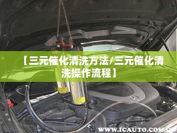 【三元催化清洗方法/三元催化清洗操作流程】