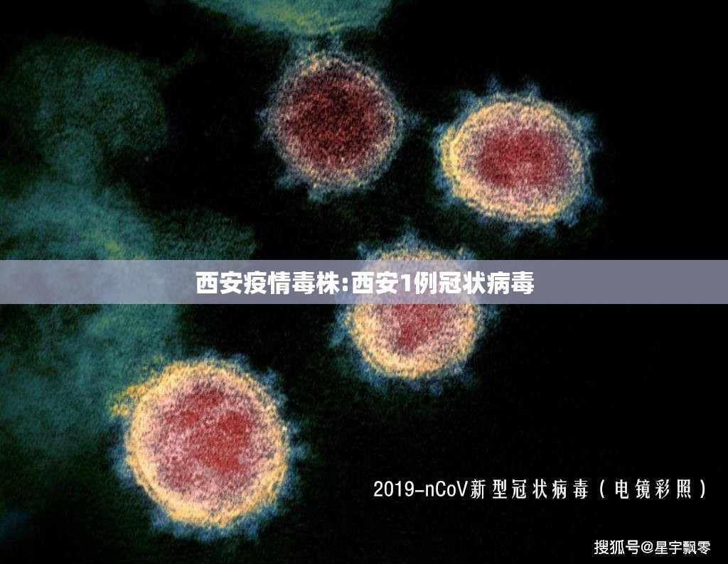 西安疫情毒株:西安1例冠状病毒 西安疫情毒株:西安1例冠状病毒