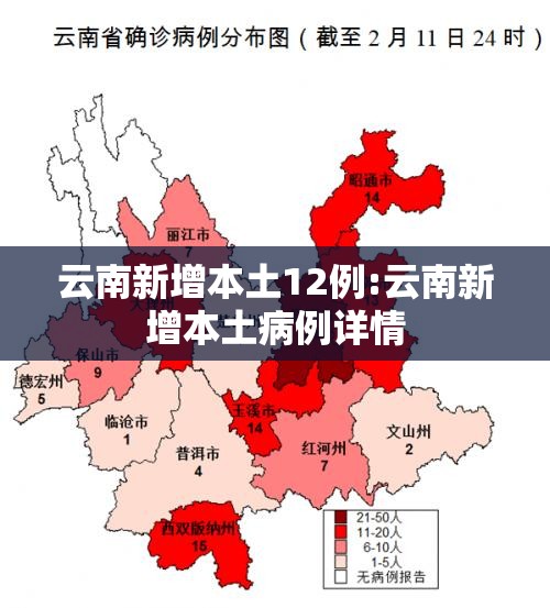 云南新增本土12例:云南新增本土病例详情 云南新增本土12例:云南新增本土病例详情