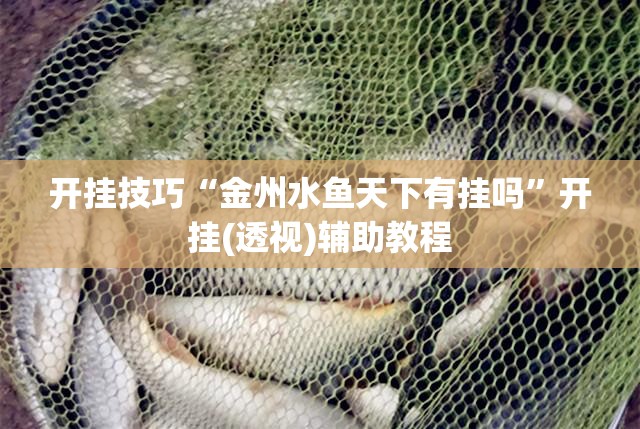 开挂技巧“金州水鱼天下有挂吗	”开挂(透视)辅助教程