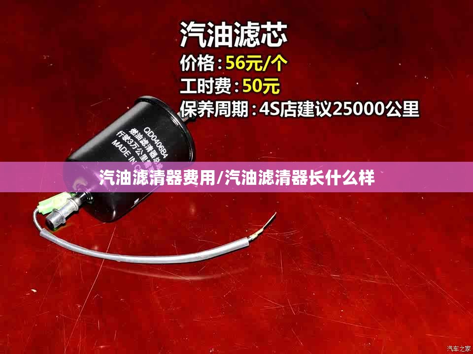 汽油滤清器费用/汽油滤清器长什么样