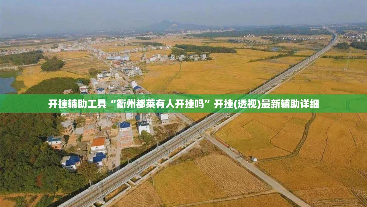 开挂辅助工具“衢州都莱有人开挂吗	”开挂(透视)最新辅助详细