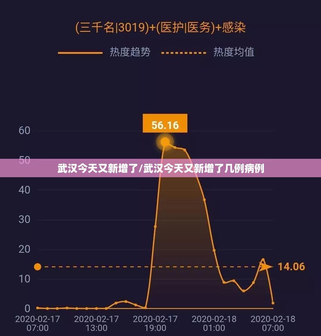 武汉今天又新增了/武汉今天又新增了几例病例