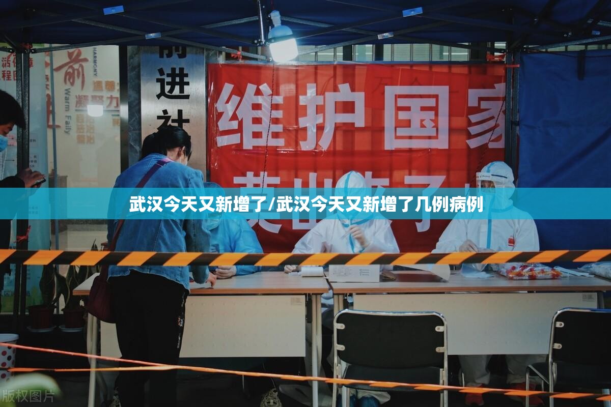 武汉今天又新增了/武汉今天又新增了几例病例