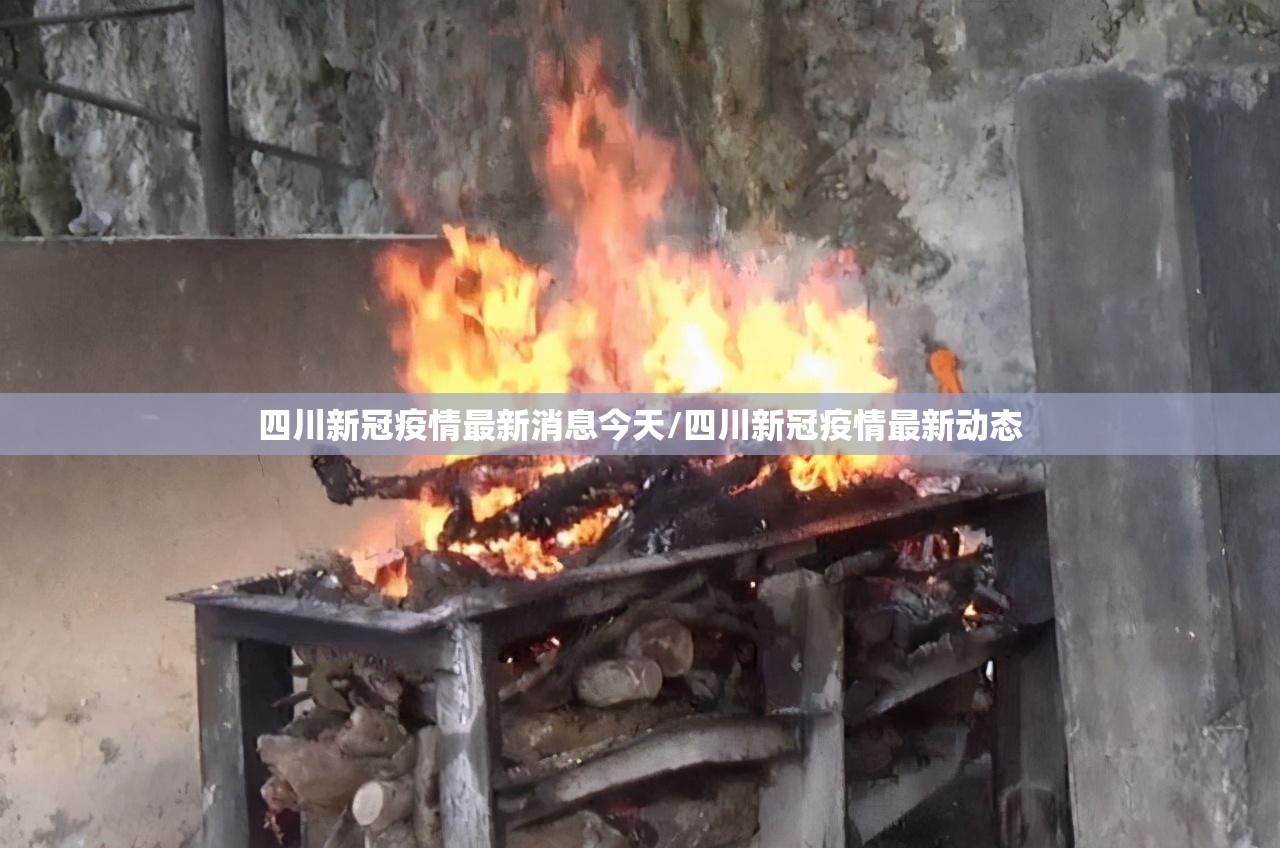四川新冠疫情最新消息今天/四川新冠疫情最新动态