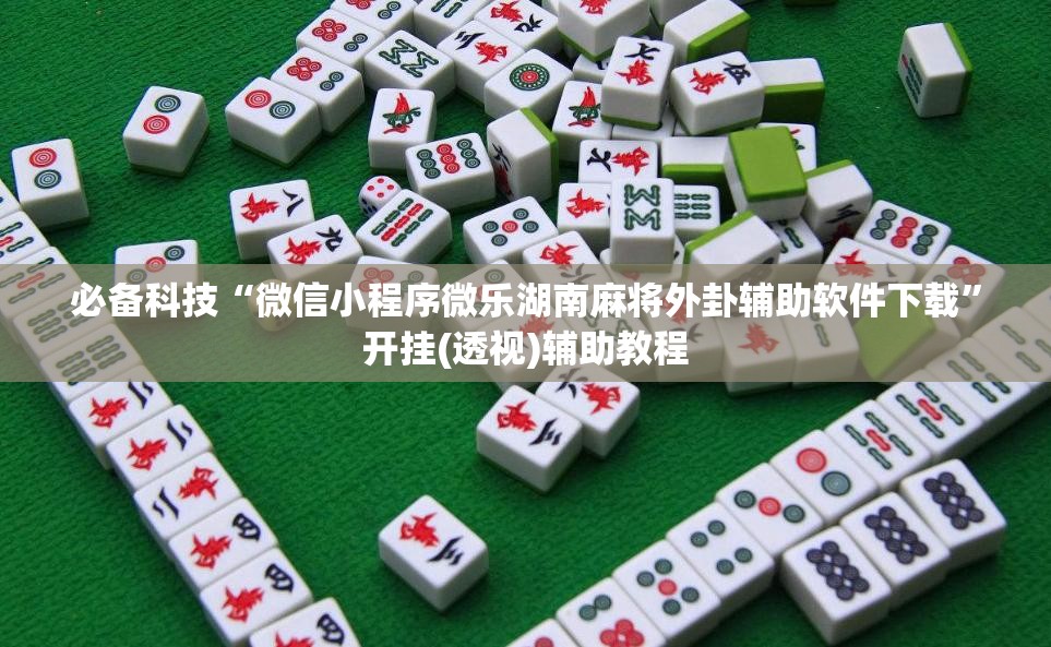 必备科技“微信小程序微乐湖南麻将外卦辅助软件下载”开挂(透视)辅助教程