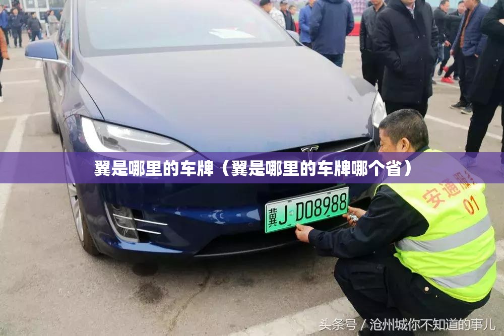 翼是哪里的车牌（翼是哪里的车牌哪个省）