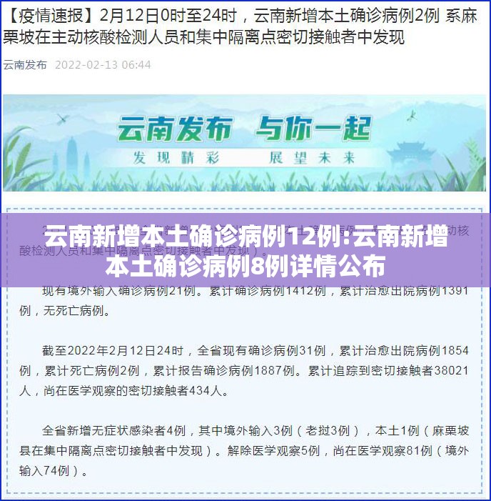 云南新增本土确诊病例12例:云南新增本土确诊病例8例详情公布 云南新增本土确诊病例12例:云南新增本土确诊病例8例详情公布