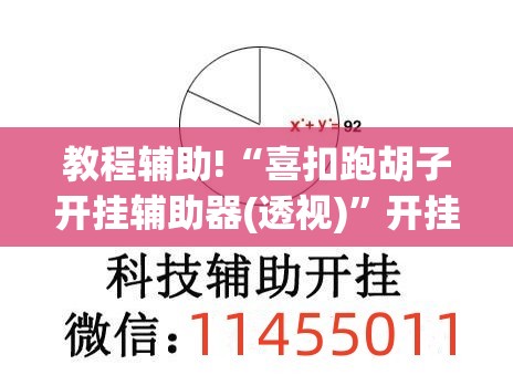 教程辅助!“喜扣跑胡子开挂辅助器(透视)”开挂辅助脚本+详细开挂安装教程