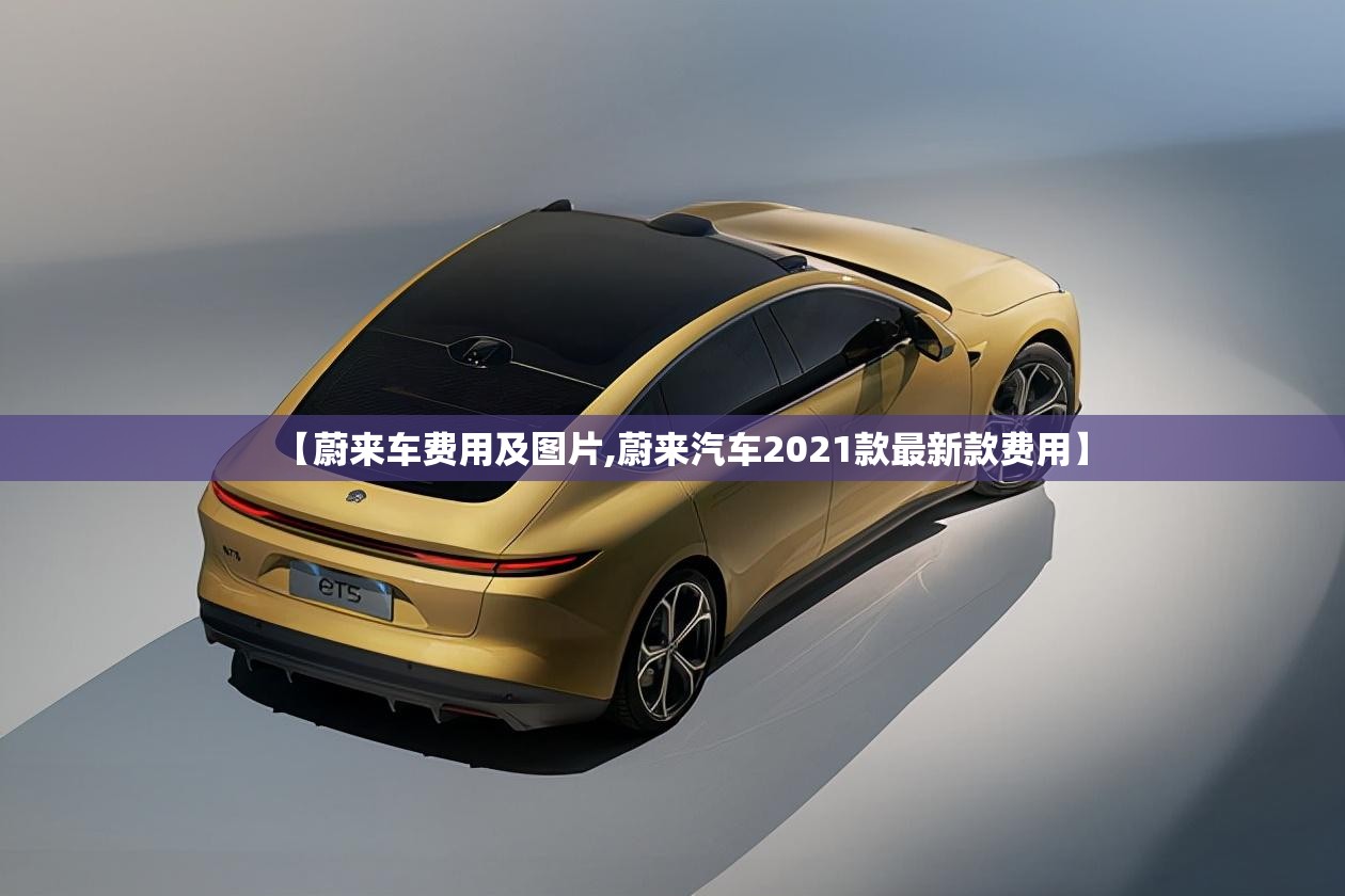 【蔚来车费用及图片,蔚来汽车2021款最新款费用】