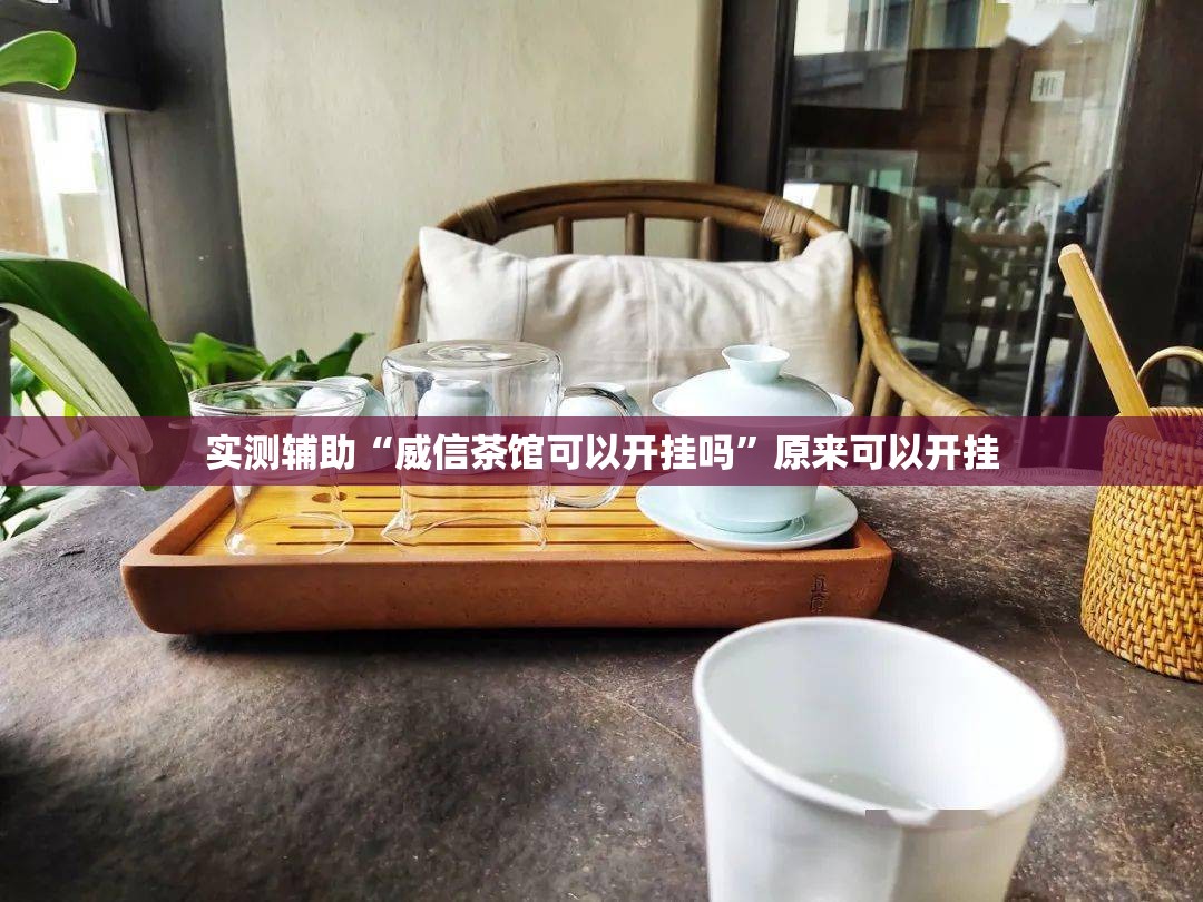 实测辅助“威信茶馆可以开挂吗”原来可以开挂