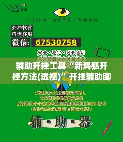 辅助开挂工具“新鸿狐开挂方法(透视)”开挂辅助脚本+详细开挂安装教程