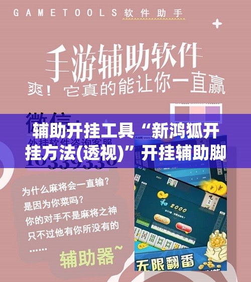 辅助开挂工具“新鸿狐开挂方法(透视)”开挂辅助脚本+详细开挂安装教程
