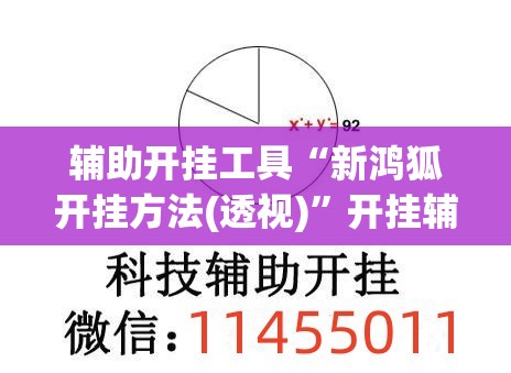 辅助开挂工具“新鸿狐开挂方法(透视)”开挂辅助脚本+详细开挂安装教程