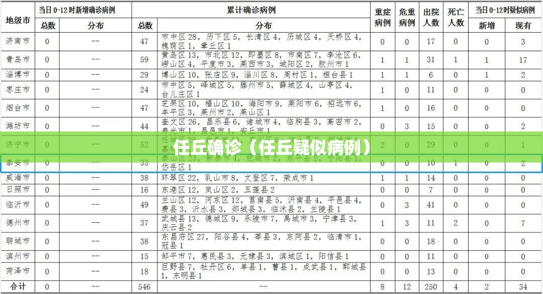 任丘确诊(任丘疑似病例) 任丘确诊(任丘疑似病例)
