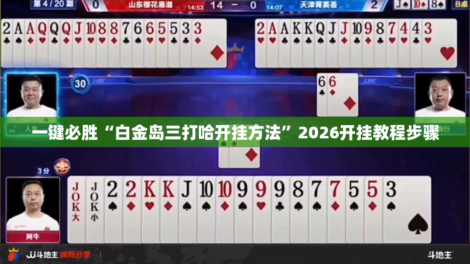 一键必胜“白金岛三打哈开挂方法”2026开挂教程步骤