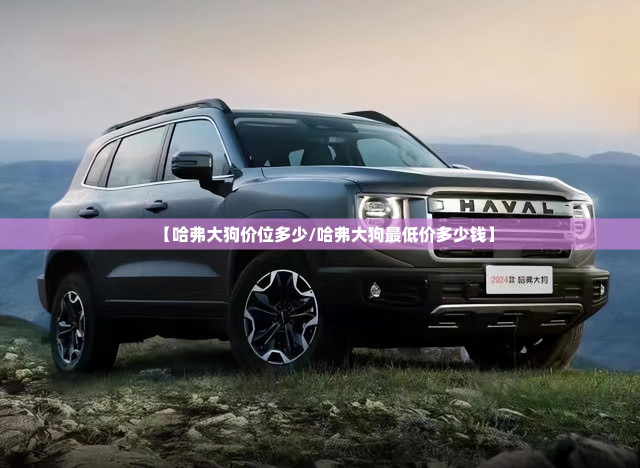 【哈弗大狗价位多少/哈弗大狗最低价多少钱】