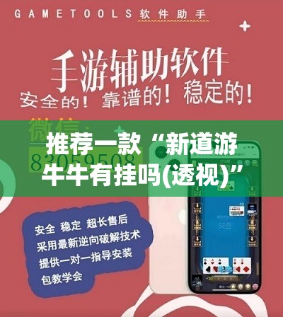 推荐一款“新道游牛牛有挂吗(透视)”开挂辅助脚本+详细开挂安装教程
