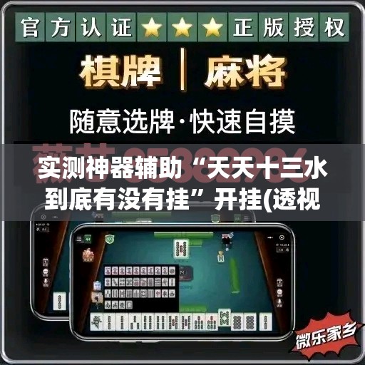 实测神器辅助“天天十三水到底有没有挂”开挂(透视)最新辅助详细