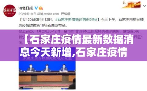 【石家庄疫情最新数据消息今天新增,石家庄疫情最新消息今天新增了15例】