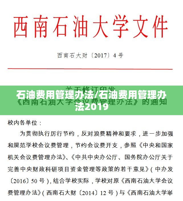 石油费用管理办法/石油费用管理办法2019 石油费用管理办法/石油费用管理办法2019