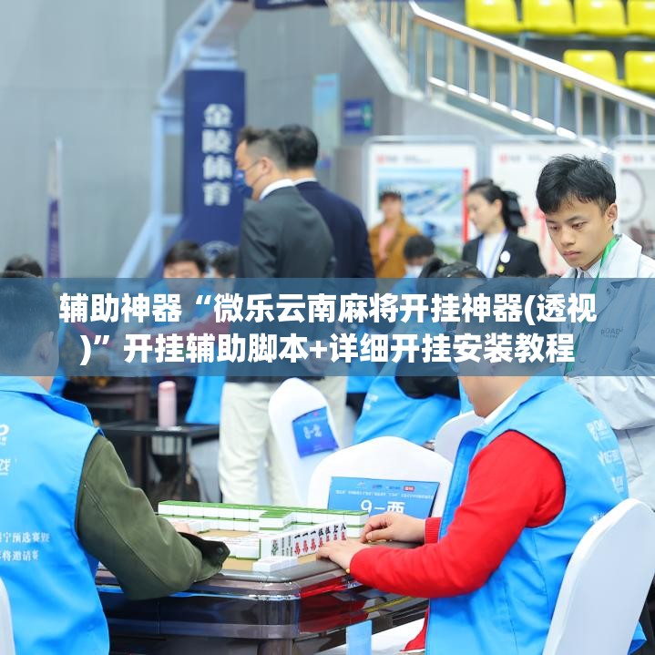 辅助神器“微乐云南麻将开挂神器(透视)”开挂辅助脚本+详细开挂安装教程