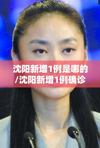 沈阳新增1例是哪的/沈阳新增1例确诊 沈阳新增1例是哪的/沈阳新增1例确诊