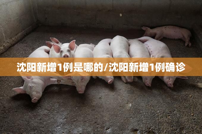 沈阳新增1例是哪的/沈阳新增1例确诊 沈阳新增1例是哪的/沈阳新增1例确诊