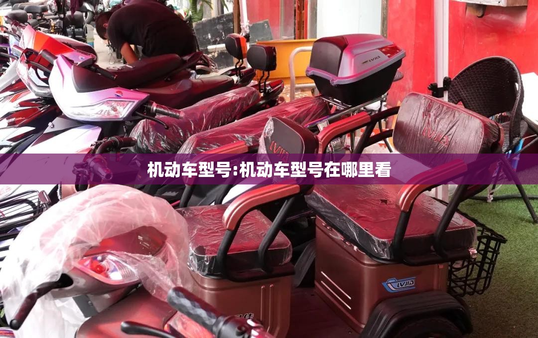 机动车型号:机动车型号在哪里看 机动车型号:机动车型号在哪里看