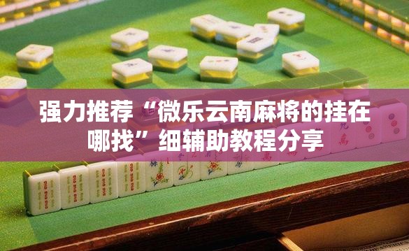 强力推荐“微乐云南麻将的挂在哪找”细辅助教程分享