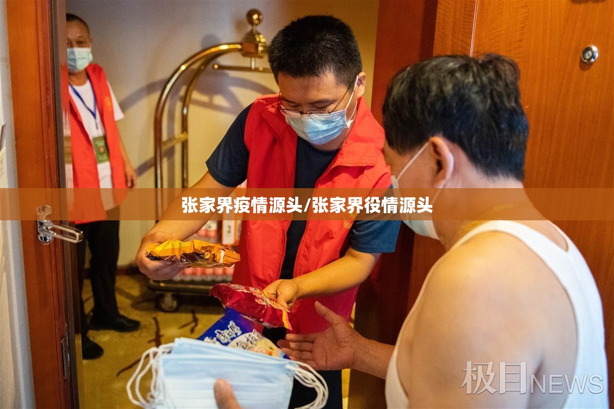 张家界疫情源头/张家界役情源头