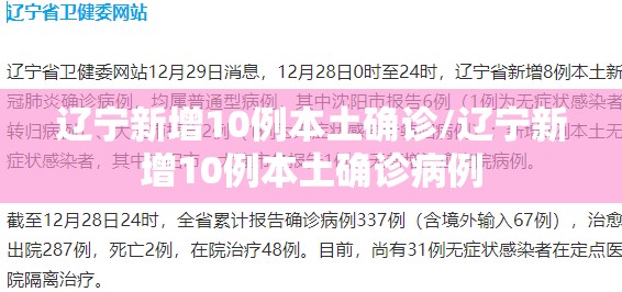 辽宁新增10例本土确诊/辽宁新增10例本土确诊病例